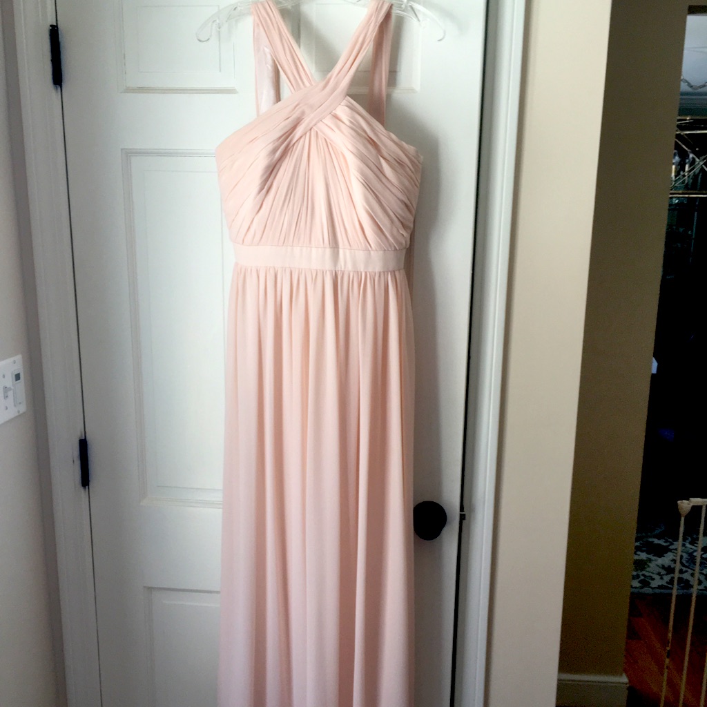 Monique Lhuillier Blush Chiffon Gown